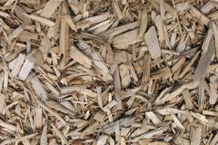 biomass boilers Daccombe