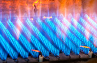 Daccombe gas fired boilers